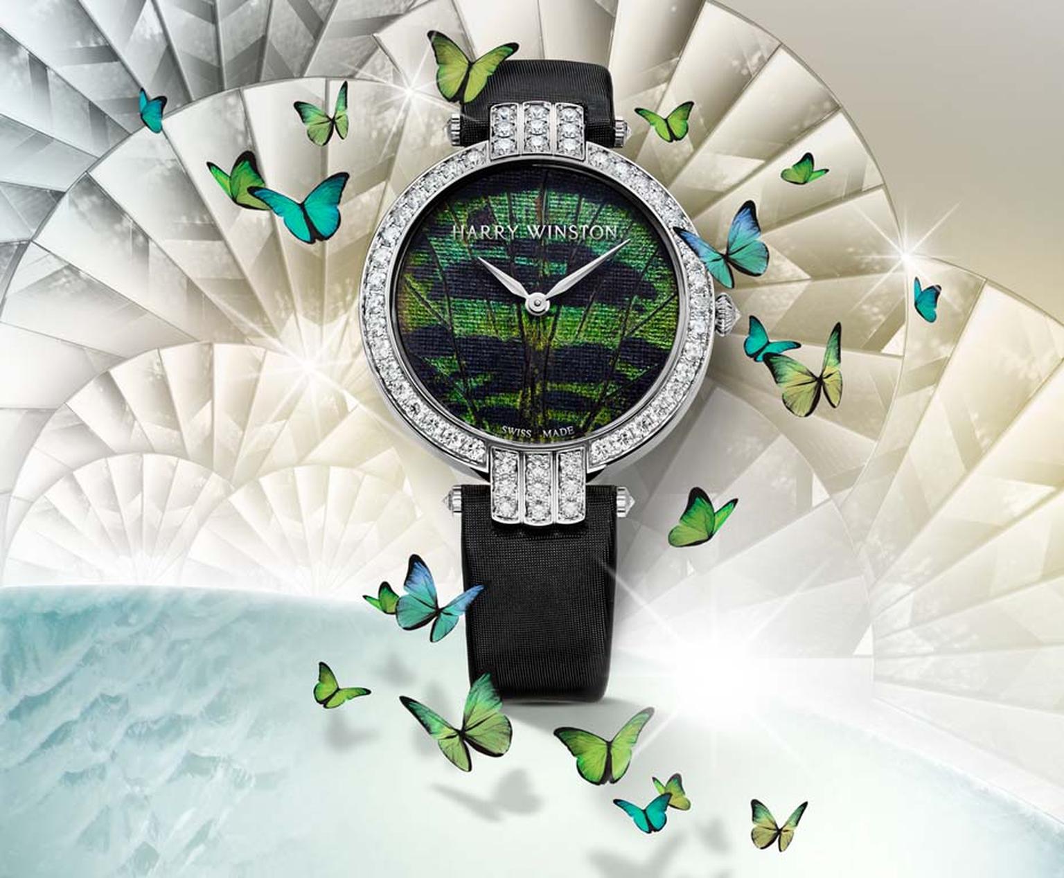 Butterfly Watches Harry Winston Premier Precious Butterfly 36mm Automatic Watch   1536x0 Q75 Crop Scale Subsampling 2 Upscale False 